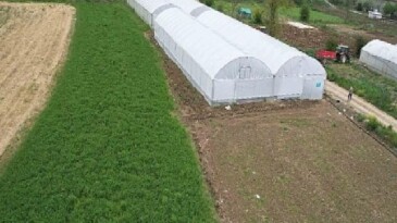 Kocaeli Büyükşehir Belediyesi’nin Modern Seracılık Destekleri ve Projeleri