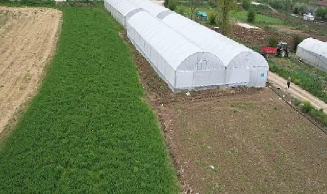 Kocaeli Büyükşehir Belediyesi’nin Modern Seracılık Destekleri ve Projeleri