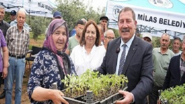 Milas Belediyesi Ata Tohumu Dağıtım Töreniyle Sürdürülebilir Kırsal Kalkınmaya Destek Oldu