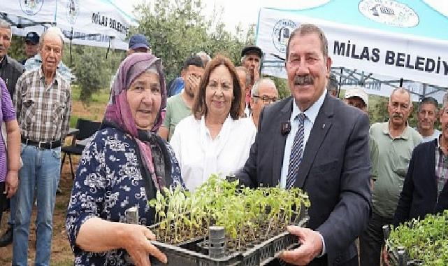 Milas Belediyesi Ata Tohumu Dağıtım Töreniyle Sürdürülebilir Kırsal Kalkınmaya Destek Oldu