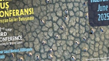 22. Türkiye Kuş Konferansı 14-15 Haziran 2025’te İzmir’de düzenlenecek.