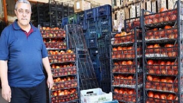 Alanya Toptancı Hali’nde sona yaklaşıldı