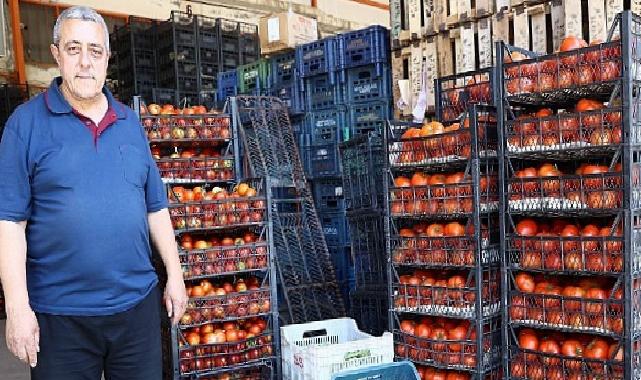 Alanya Toptancı Hali’nde sona yaklaşıldı