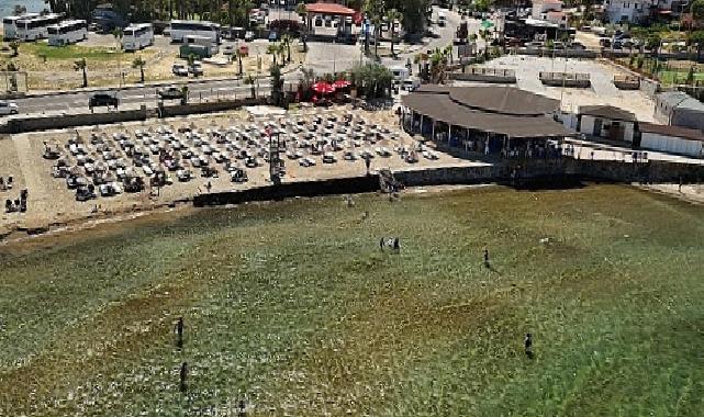 Ayvalık Belediyesi plajlarında göndere “Mavi Bayrak” çekildi…