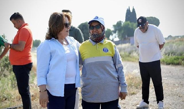 Başkan Gençay, kekik hasadına katıldı