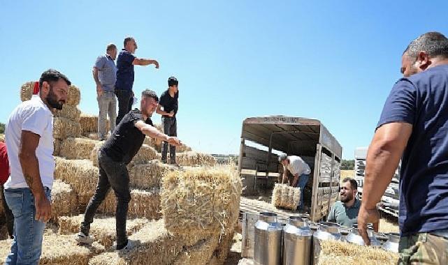 Buca Belediyesi’nden hayvancılık yapan köylülere saman balyası dayanağı