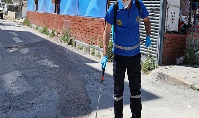 Buca’da 24 saat kesintisiz ilaçlama