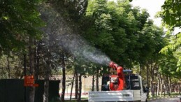 Çankaya Belediyesi’nden Yaz Aylarına Özel İlaçlama