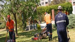 Çankaya Parklarında Çimler Biçiliyor, Otlar Temizleniyor