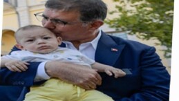 Devrilen çınar ağacı yerine yenisi dikildi