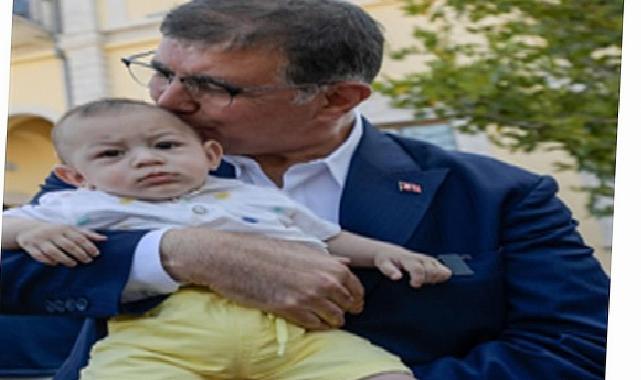 Devrilen çınar ağacı yerine yenisi dikildi