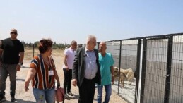 Edremit Belediyesi can dostlara sahip çıkıyor