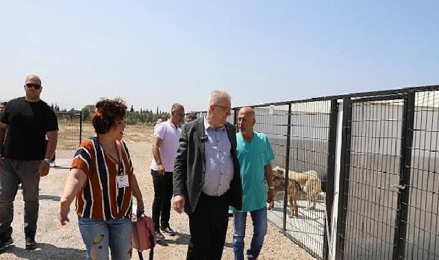 Edremit Belediyesi can dostlara sahip çıkıyor