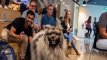 Evcil Hayvanlar İçin Açılan Kapılar, İş Dünyasında Değişik Bir Dönüşümü Beraberinde Getiriyor