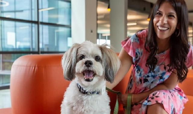 Evcil Hayvanlar İçin Açılan Kapılar, İş Dünyasında Farklı Bir Dönüşümü Beraberinde Getiriyor