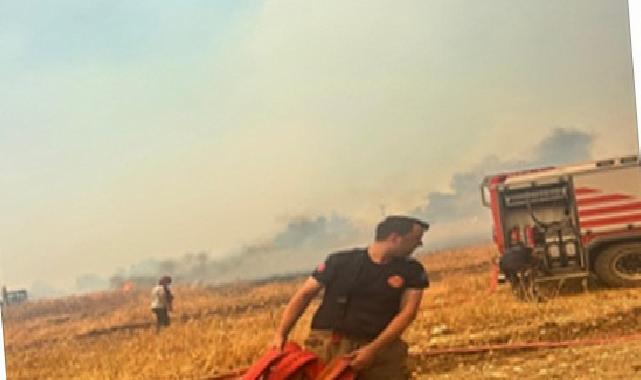 Foça-Aliağa arasında çıkan yangına müdahale sürüyor