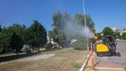 Güzelbahçe Belediyesi üç ay sürecek kapsamlı ilaçlama çalışması başlattı