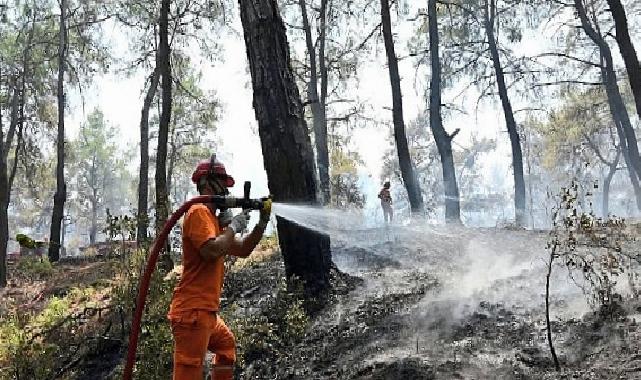 Hasat Mevsiminde Orman Yangını Alarmı