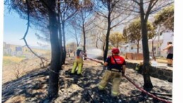 İzmir İtfaiyesi 48 saatte 227 yangına müdahale etti