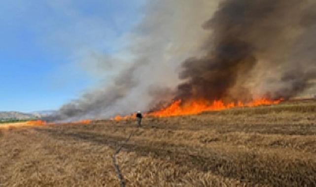 İzmir İtfaiyesi son 48 saatte 220 yangına müdahale etti