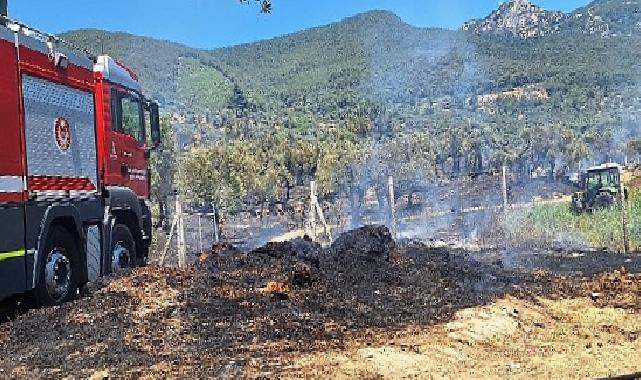 İzmir İtfaiyesi Torbalı, Kınık ve Menderes’teki yangınlara müdahale etti