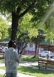 Nevşehir Belediyesi 7/24 İlaçlama Çalışması Yapıyor