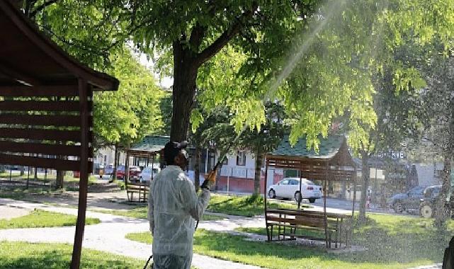 Nevşehir Belediyesi 7/24 İlaçlama Çalışması Yapıyor