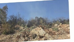 Nilüfer’de yangın başarıyla söndürüldü