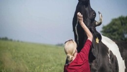 Salt Beyoğlu’ndaki “Hayvanların Yaşamı” standı kapsamında hazırlanan gösterim programı 3 Temmuz’da Açık Sinema’da başlıyor.