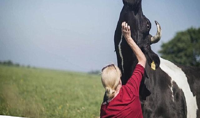 Salt Beyoğlu’ndaki “Hayvanların Yaşamı” standı kapsamında hazırlanan gösterim programı 3 Temmuz’da Açık Sinema’da başlıyor.