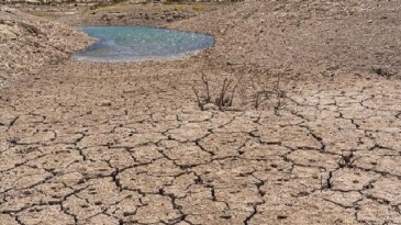 TEMA Vakfı: Toprağı Düzgünleştirmek, Doğayı ve Geleceği Korumaktır