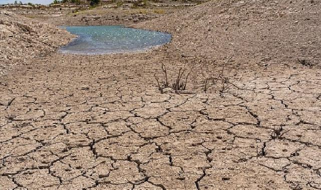 TEMA Vakfı: Toprağı Düzgünleştirmek, Doğayı ve Geleceği Korumaktır