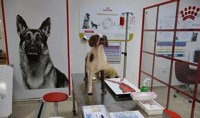 Uludağ Üniversitesi Klinik Maharet Laboratuvarı Açıldı