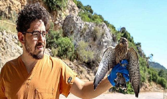 Yetişkinliğe erişen kerkenez yavruları doğal ortamlarına bırakıldı