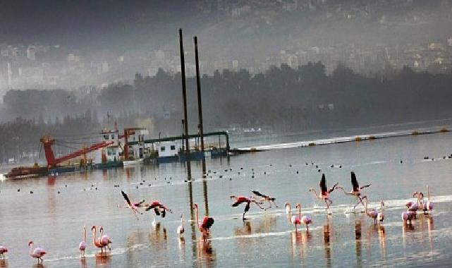 170 hektar alan taban çamurundan arındırıldı