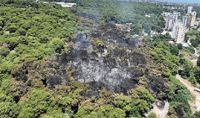 Antalya Büyükşehir Belediyesi İtfaiyesi alevlerle mücadelesini sürdürüyor