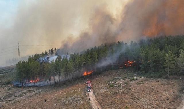Antalya’da 4 farklı noktada orman yangını çıktı