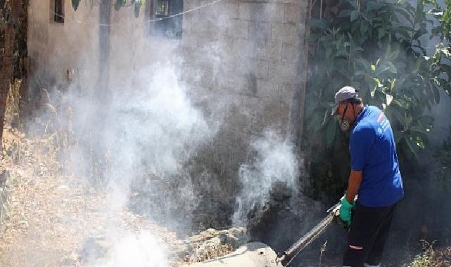 Antalya’nın tüm ilçelerinde haşereyle uğraş sürüyor