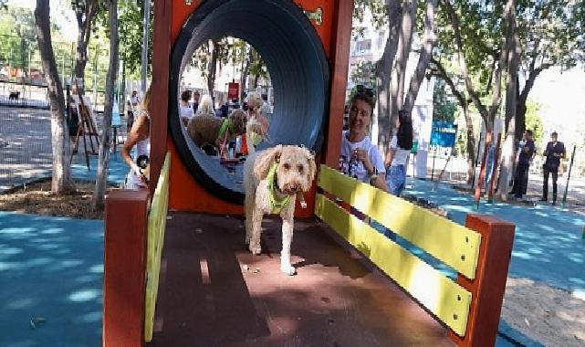 Bakırköy’ün İkinci Pati Parkı Açıldı