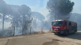 Bergama’da orman yangınına müdahale ediliyor