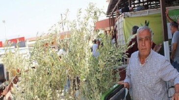 Büyükşehir’den 19 ilçeye 40 bin zeytin fidanı dayanağı
