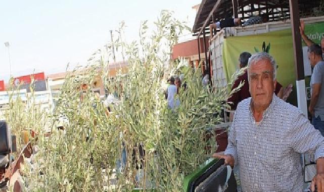 Büyükşehir’den 19 ilçeye 40 bin zeytin fidanı dayanağı