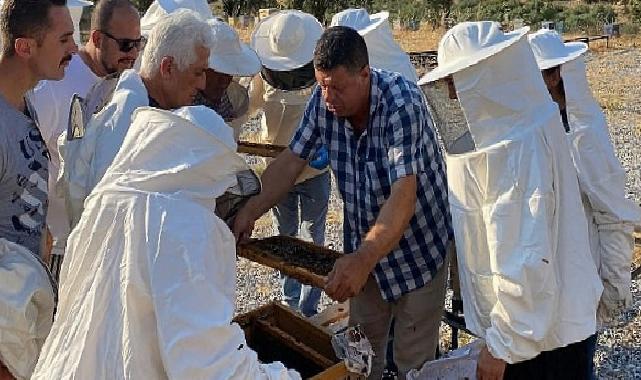 Büyükşehir’den Arıcılara Uygulamalı Eğitim Takviyesi