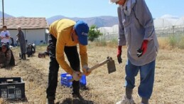 Büyükşehir’in tarım dayanakları üreticiyi sevindirdi