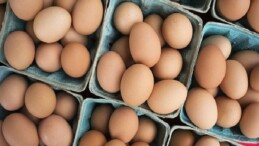 DFİF kesintisi kalktı, yumurta ihracatçısı rahatladı