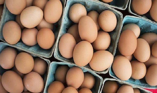 DFİF kesintisi kalktı, yumurta ihracatçısı rahatladı