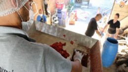 Efes Selçuk’ta Kışlık Salça Hazırlıkları Başlıyor