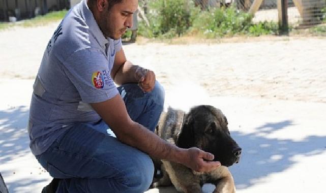 Efes Selçuk’ta “Satın Alma Sahiplen” Daveti