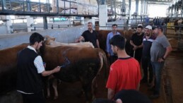 Hayvan Pazarları İkinci Bir Emre Kadar Kapatıldı