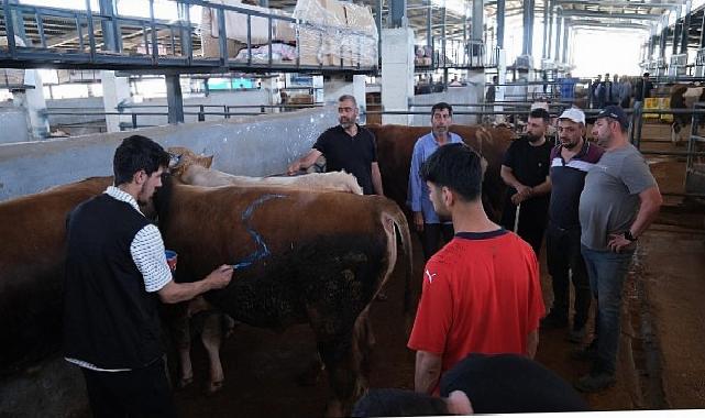 Hayvan Pazarları İkinci Bir Emre Kadar Kapatıldı